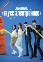  Гаусс Электроникс Компания "Гаус Электроникс" / Gaus Electronics / Gaus Jeonja смотреть онлайн сериал 1 сезон 