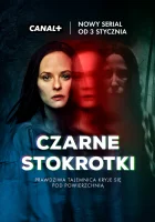  Странные Ангелы Чёрные ромашки / Czarne stokrotki смотреть онлайн сериал 1 сезон 