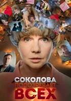  Соколова подозревает всех смотреть онлайн сериал 1-6 сезон 