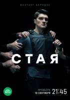  Стая смотреть онлайн сериал 1 сезон 