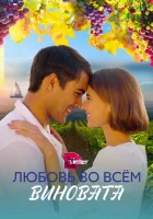  Любовь во всем виновата смотреть онлайн сериал 1 сезон 
