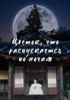  Цветок, что распускается по ночам Ночной цветок/ Knight Flower / Bame Pineun Kkot / Flower That Blooms at Night смотреть онлайн сериал 1 сезон 