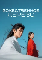  В Сендае растут деревья Божественное дерево / Love of the Divine Tree / Sendai Tree смотреть онлайн сериал 1 сезон 