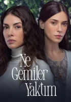  Какие корабли я сжег Я сожгла все мосты смотреть онлайн сериал 1 сезон 