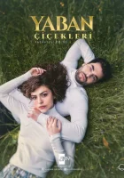  Дикие цветы Полевые цветы / Wild Flowers смотреть онлайн сериал 1 сезон 