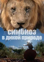  Симбиоз в дикой природе смотреть онлайн сериал 1 сезон 