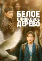  Белое оливковое дерево The White Olive Tree смотреть онлайн сериал 1 сезон 