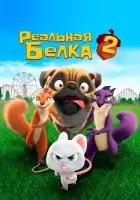  Реальная белка 2 смотреть онлайн (2017) 