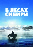  В лесах Сибири смотреть онлайн (2016) 