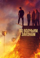  По волчьим законам смотреть онлайн сериал 1-6 сезон 