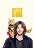  Уличный кот по кличке Боб смотреть онлайн (2016) 