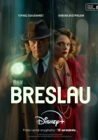  Убийства в Бреслау The Breslau Murders смотреть онлайн сериал 1 сезон 