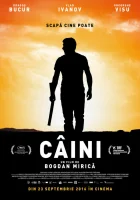  Собаки смотреть онлайн (2016) 