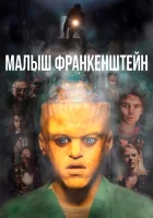  Малыш Франкенштейн смотреть онлайн (2018) 
