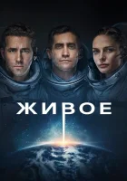  Живое смотреть онлайн (2017) 