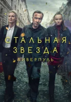  Стальная звезда Жестяная звезда смотреть онлайн сериал 1-3 сезон 