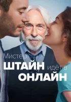  Мистер Штайн идёт в онлайн смотреть онлайн (2017) 