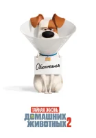  Тайная жизнь домашних животных 2 смотреть онлайн (2019) 