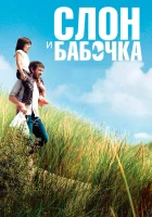  Слон и бабочка смотреть онлайн (2017) 