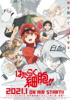  Работа клеток Клетки за работой смотреть онлайн аниме сериал 1-2 сезон 