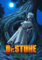  Доктор Стоун Dr. Stone смотреть онлайн аниме сериал 1-4 сезон 