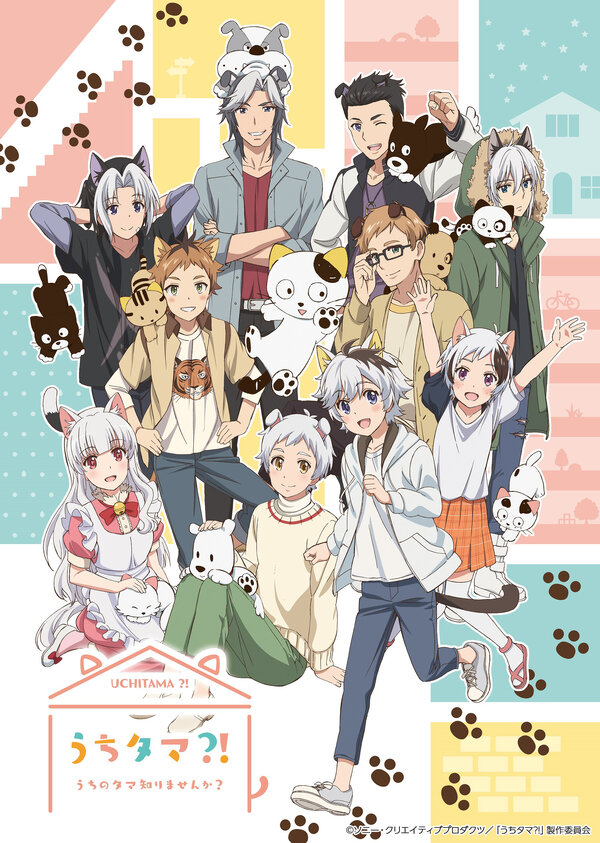  Тама: Откуда же он взялся? смотреть онлайн аниме сериал 1 сезон 