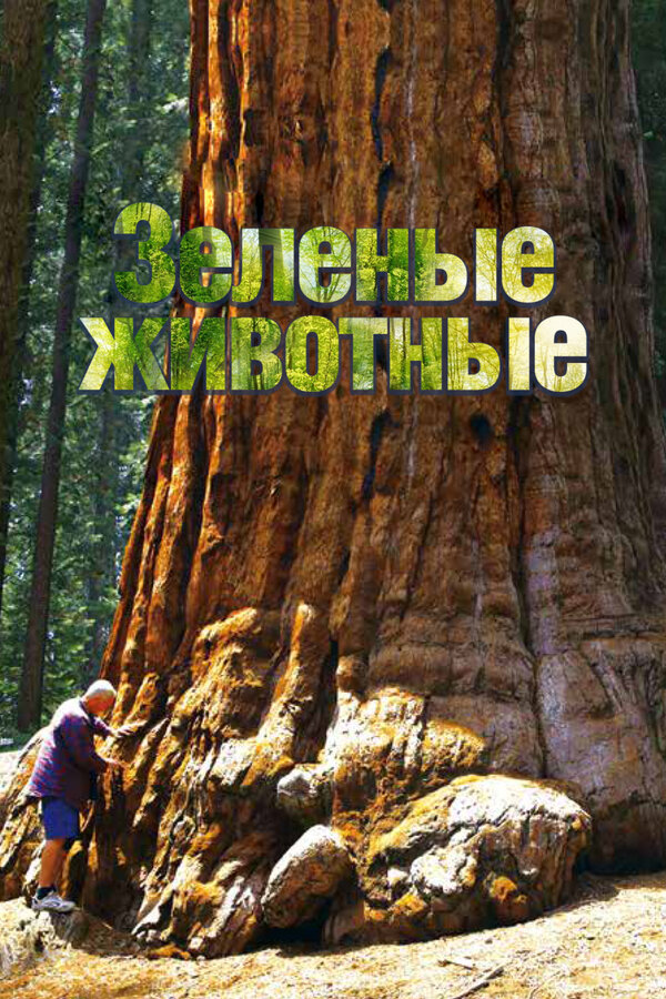  Зелёные животные смотреть онлайн тв шоу 1 сезон 